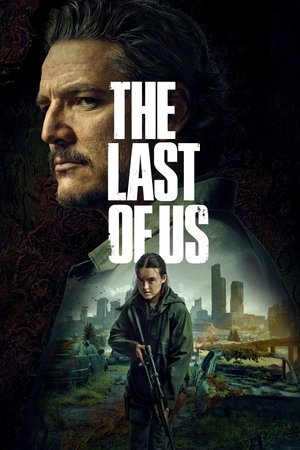 The Last of Us kijken met AneeTV